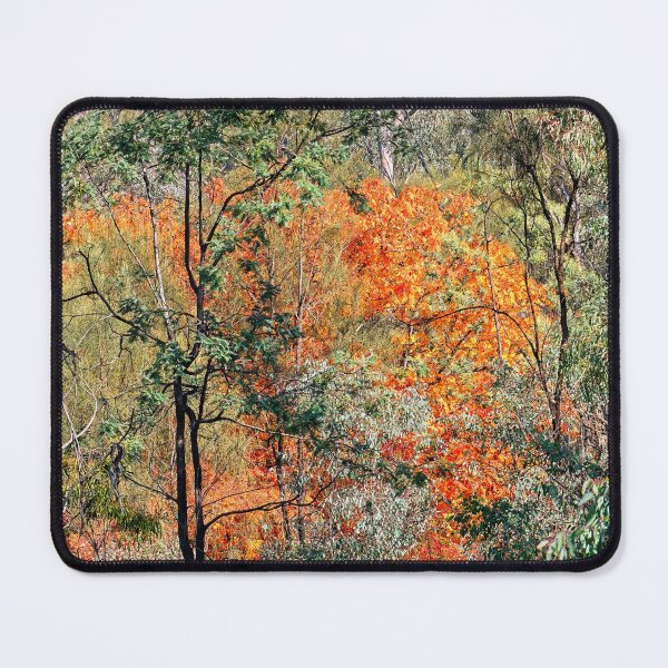 Item preview, Australian Fall Trees designed and sold by StevenRalserPhoto.