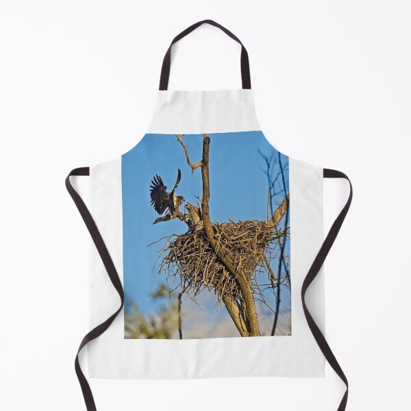 Item preview, Bald Eagle Fledgling Flying, UW Arboretum, Madison, WI designed and sold by StevenRalserPhoto.
