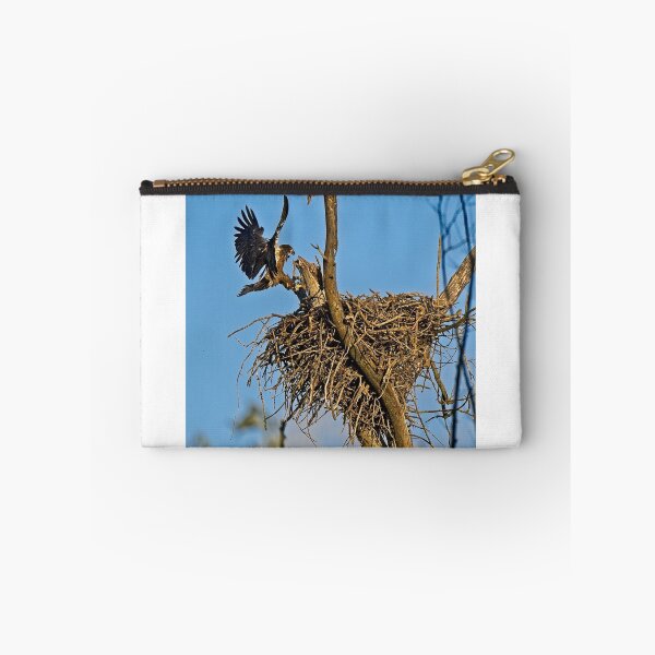 Item preview, Bald Eagle Fledgling Flying, UW Arboretum, Madison, WI designed and sold by StevenRalserPhoto.