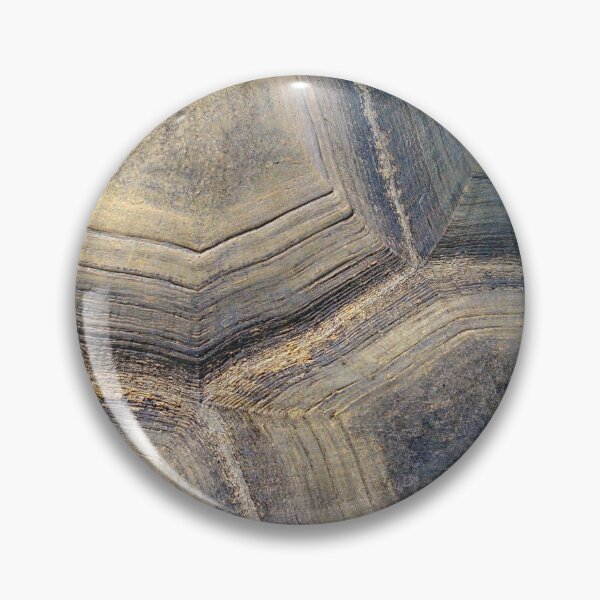 Item preview, Aldabra Tortoise shell detail designed and sold by StevenRalserPhoto.