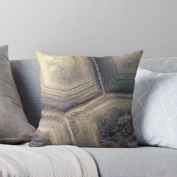 Item preview, Aldabra Tortoise shell detail designed and sold by StevenRalserPhoto.