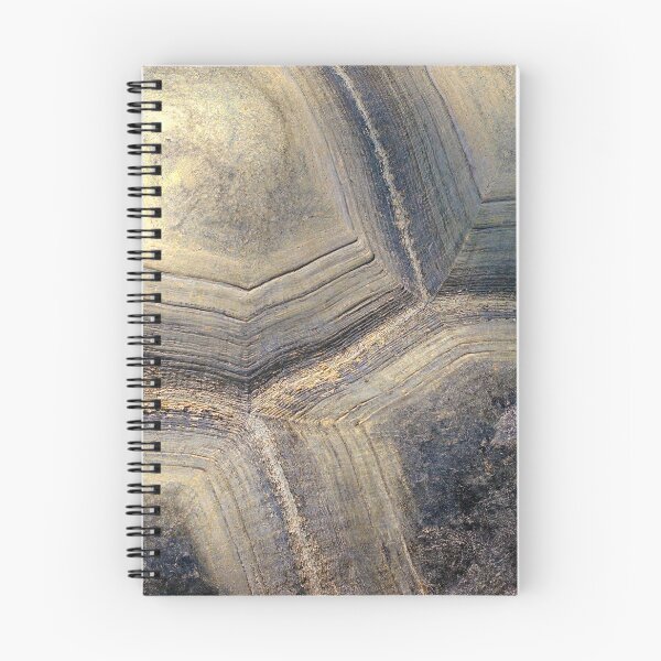 Item preview, Aldabra Tortoise shell detail designed and sold by StevenRalserPhoto.