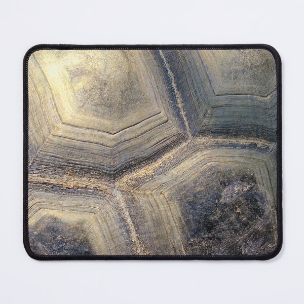 Item preview, Aldabra Tortoise shell detail designed and sold by StevenRalserPhoto.