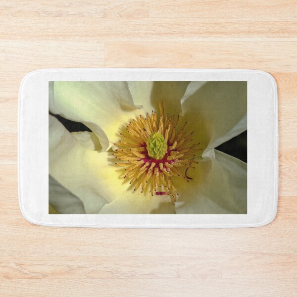 Artikelvorschau, Magnolia, UW Arboretum, Madison, WI 2 entworfen und verkauft von StevenRalserPhoto.