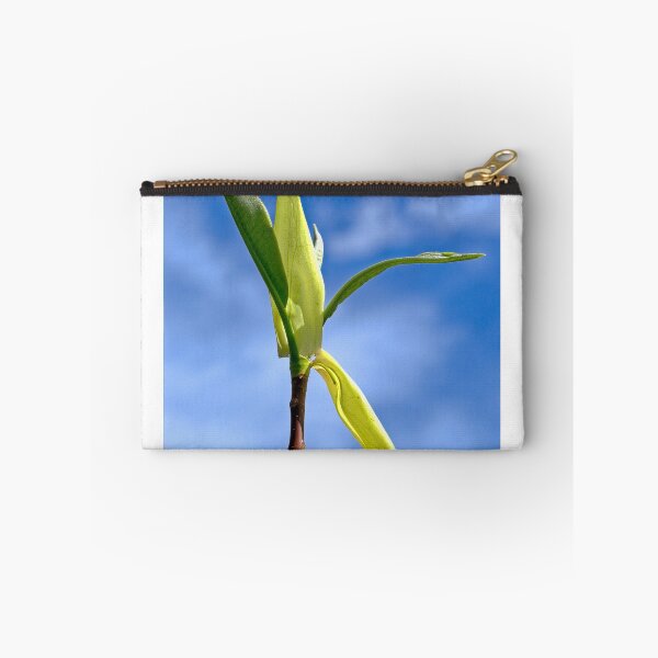 Item preview, Magnolia, UW Arboretum, Madison, WI designed and sold by StevenRalserPhoto.