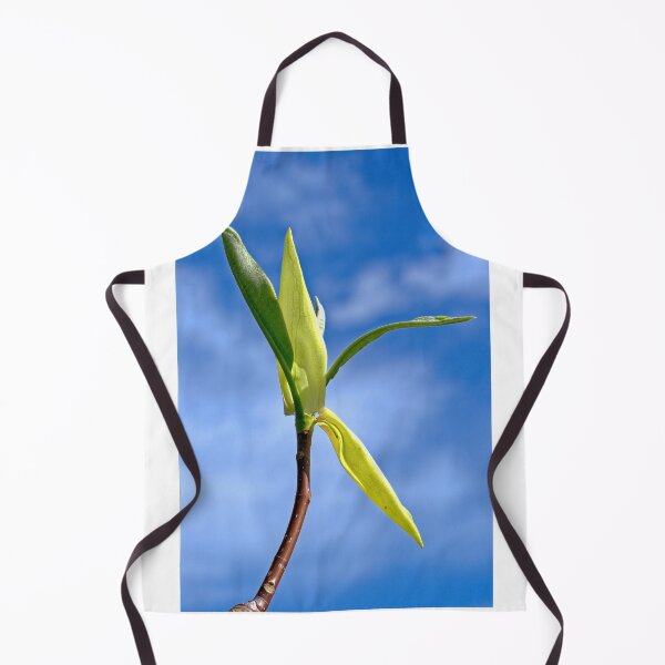Item preview, Magnolia, UW Arboretum, Madison, WI designed and sold by StevenRalserPhoto.