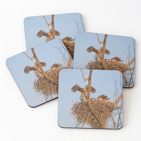Item preview, Bald Eagles on Nest, UW Arboretum, Madison, WI 4 designed and sold by StevenRalserPhoto.