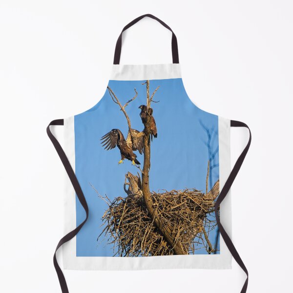 Item preview, Bald Eagles on Nest, UW Arboretum, Madison, WI 3 designed and sold by StevenRalserPhoto.