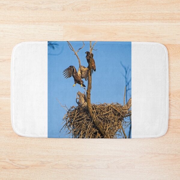 Item preview, Bald Eagles on Nest, UW Arboretum, Madison, WI 3 designed and sold by StevenRalserPhoto.