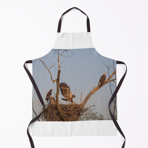 Item preview, Bald Eagles on Nest, UW Arboretum, Madison, WI 2 designed and sold by StevenRalserPhoto.
