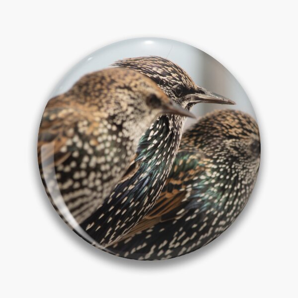 Item preview, Starling designed and sold by mparnisari.