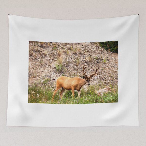 Item preview, Dear Deer designed and sold by KrystalHPhotos.