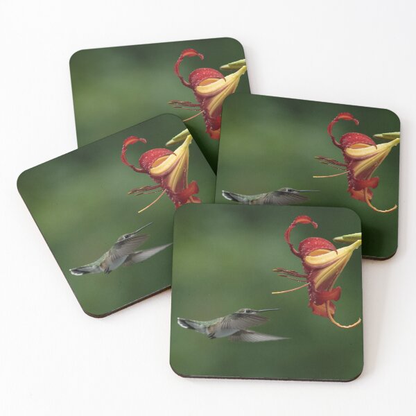 Item preview, Hummingbird and Daylily getting friendly designed and sold by Roxane Bay.