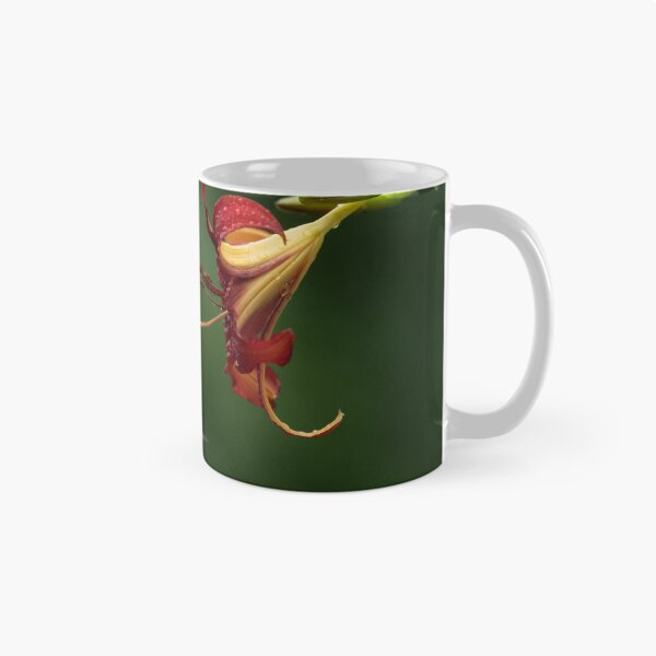 Item preview, Hummingbird and Daylily getting friendly designed and sold by Roxane Bay.