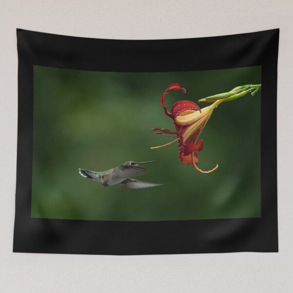 Item preview, Hummingbird and Daylily getting friendly designed and sold by Roxane Bay.