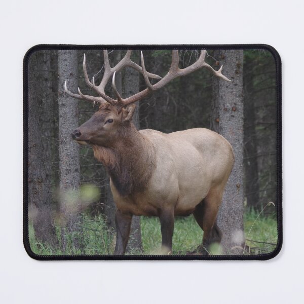 Item preview, elk designed and sold by mparnisari.