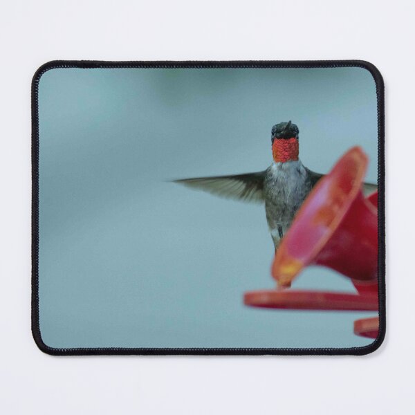Item preview, Coucou! Hummingbird  designed and sold by Roxane Bay.
