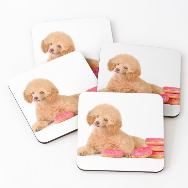 Item preview, Studio shot of beautiful apricot small poodle puppy designed and sold by eAlisa.