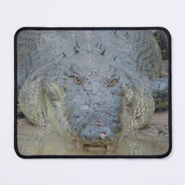 Item preview, Powerful designed and sold by Melville.Collective.