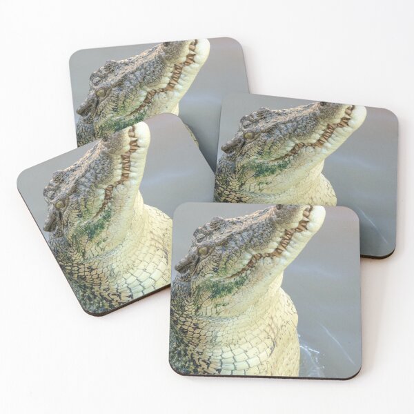 Item preview, Never Smile at a Crocodile designed and sold by Melville.Collective.