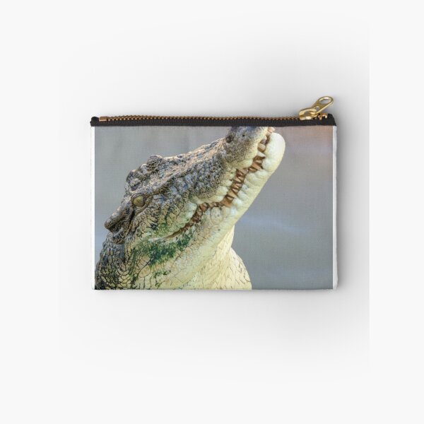 Item preview, Never Smile at a Crocodile designed and sold by Melville.Collective.