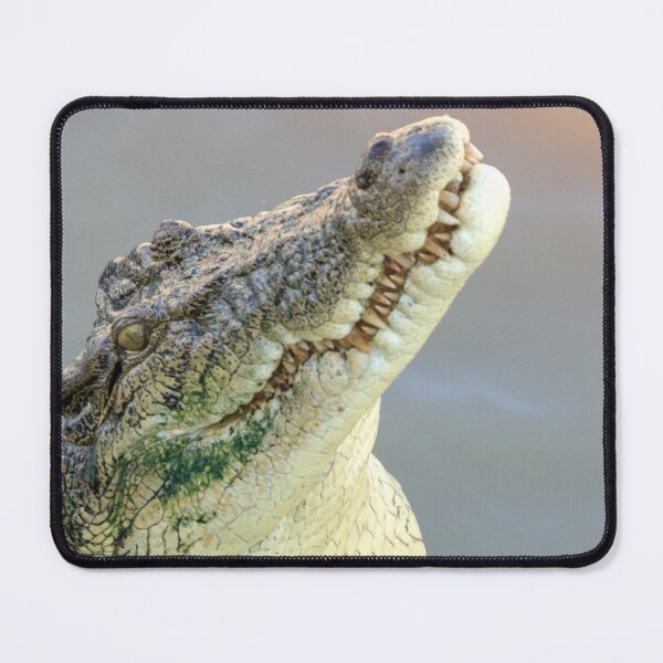Item preview, Never Smile at a Crocodile designed and sold by Melville.Collective.