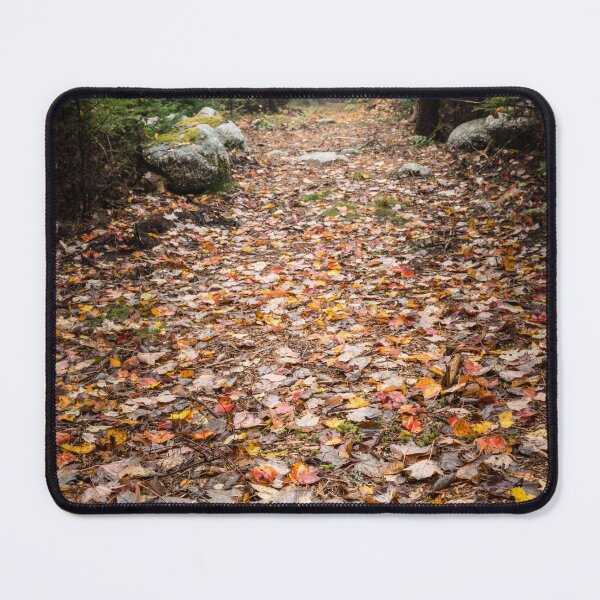 Item preview, Fall path in the forest ... deep breath ... Fresh Air! designed and sold by Roxane Bay.