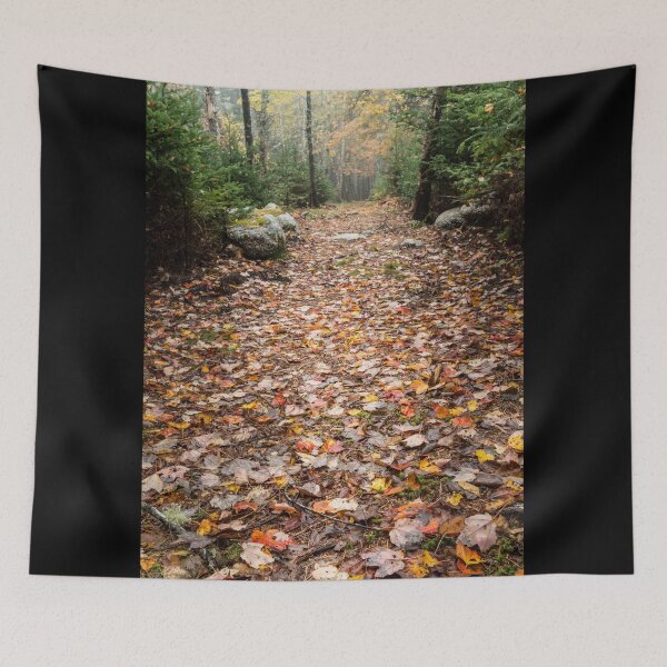 Item preview, Fall path in the forest ... deep breath ... Fresh Air! designed and sold by Roxane Bay.