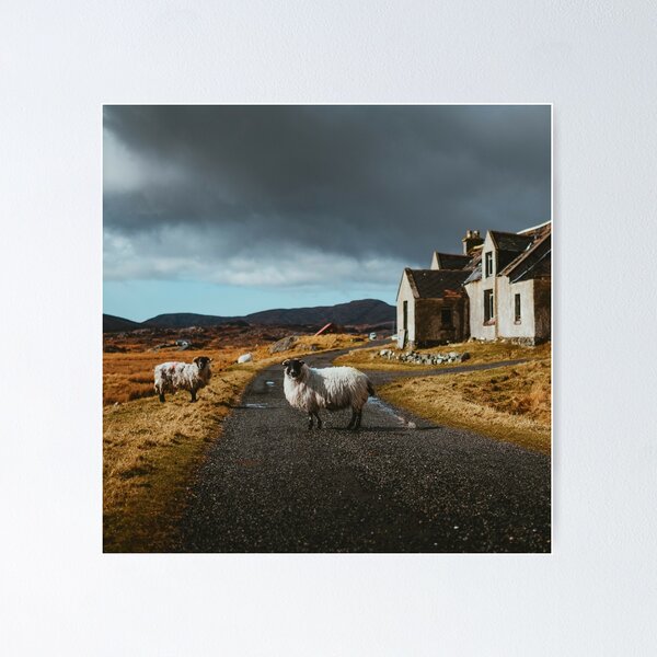 Item preview, The magic little moments of Scotland designed and sold by Patrice Mestari.