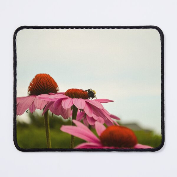 Item preview, Bee's eye view designed and sold by Eisenhart Photography.