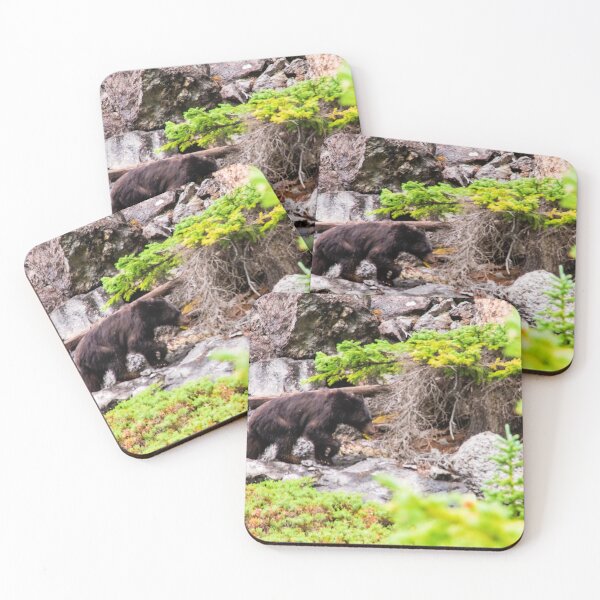 Item preview, Black Bear 3 designed and sold by KrystalHPhotos.