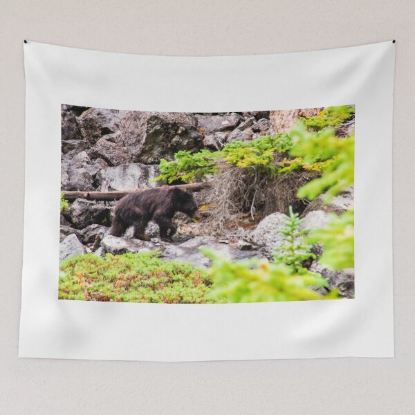 Item preview, Black Bear 3 designed and sold by KrystalHPhotos.