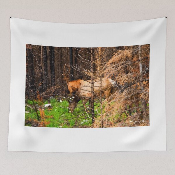 Item preview, Elk designed and sold by KrystalHPhotos.