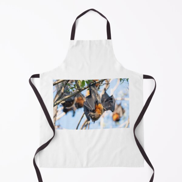 Item preview, A Grey Headed Flying Fox Hanging from a Tree designed and sold by beckyjaynephoto.
