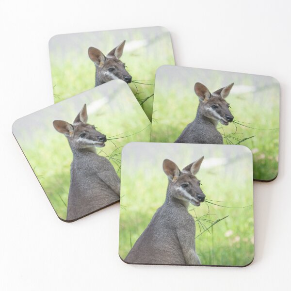 Item preview, An Australian Swamp Wallaby Close-Up designed and sold by beckyjaynephoto.