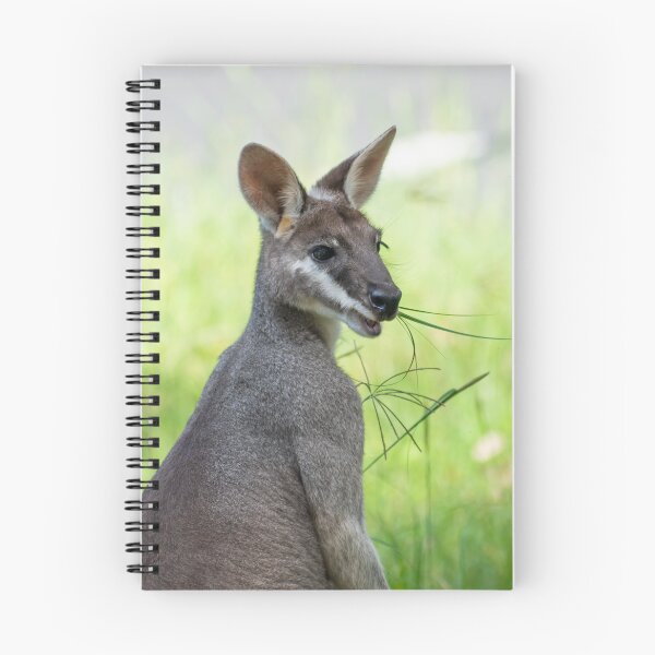 Item preview, An Australian Swamp Wallaby Close-Up designed and sold by beckyjaynephoto.