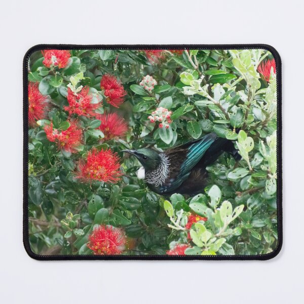 Item preview, A New Zealand Tui in a Pohutukawa Tree designed and sold by beckyjaynephoto.