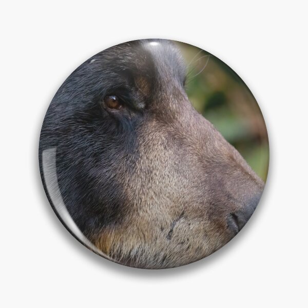 Item preview, Black Bear  designed and sold by Shannon Emmel .