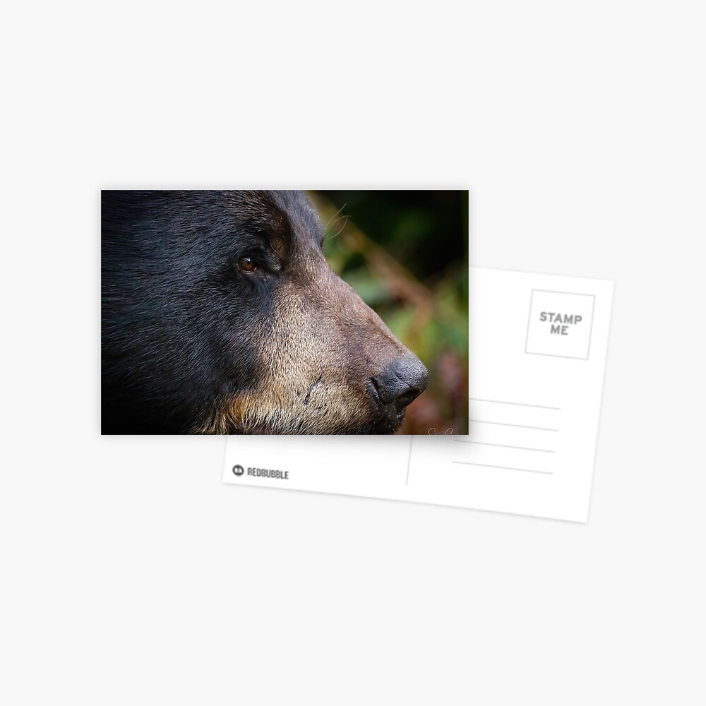 Item preview, Postcard designed and sold by Panthermama78.