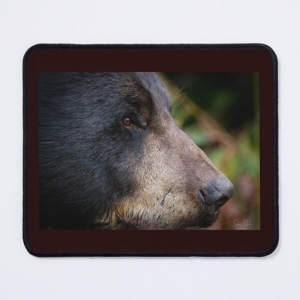 Item preview, Black Bear  designed and sold by Shannon Emmel .