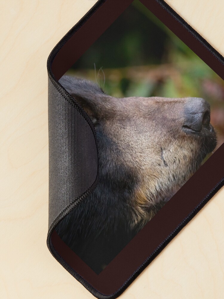 Thumbnail 2 of 5, Mouse Pad, Black Bear designed and sold by Panthermama78.