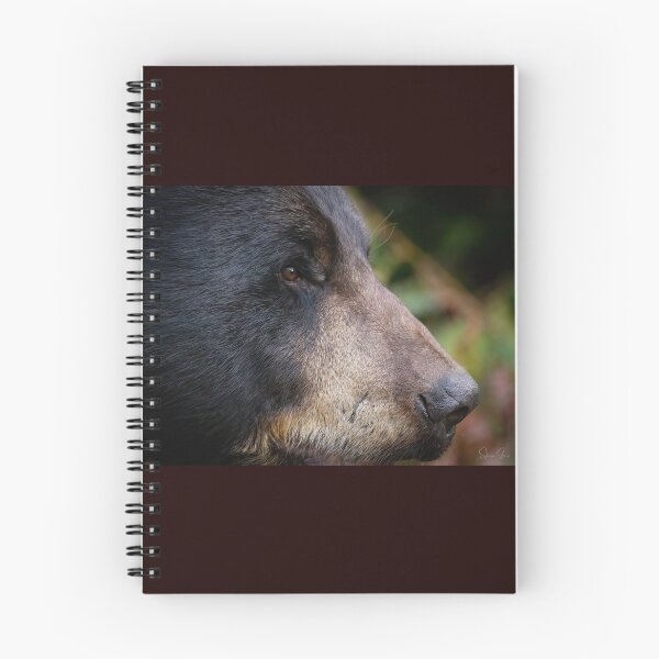 Item preview, Black Bear  designed and sold by Shannon Emmel .