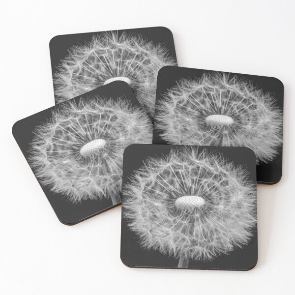 Item preview, Desert Blooms by Naomi Jakins designed and sold by trailsitravel.