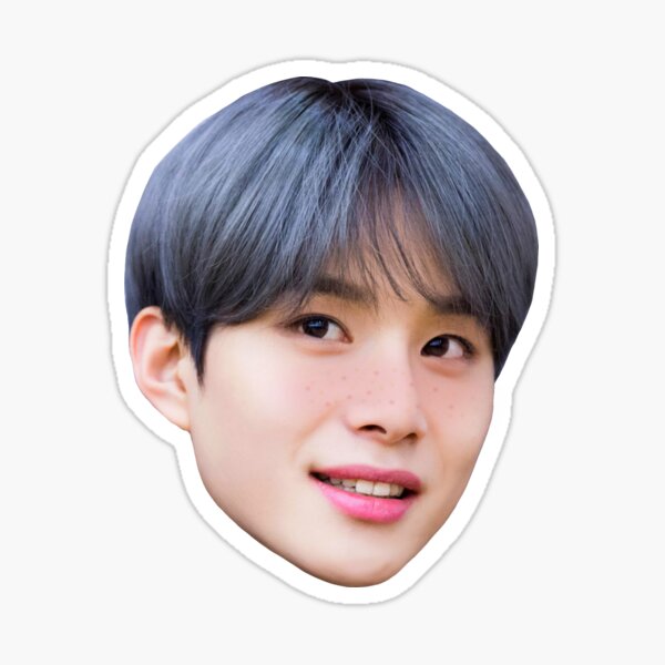 Jungwoo Stickers | Redbubble