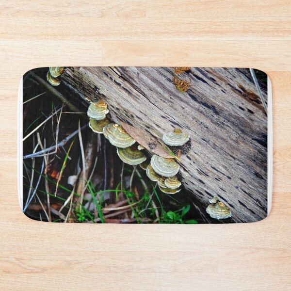 Item preview, Fungi designed and sold by D-GaP.