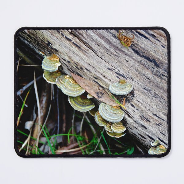 Item preview, Fungi designed and sold by D-GaP.