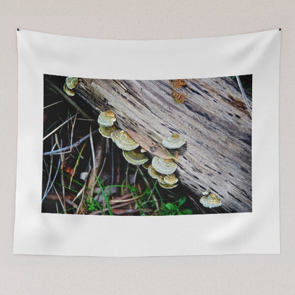 Item preview, Fungi designed and sold by D-GaP.