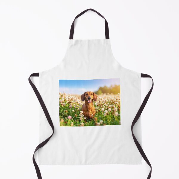 Item preview, Dachshund  designed and sold by Keljawa64.