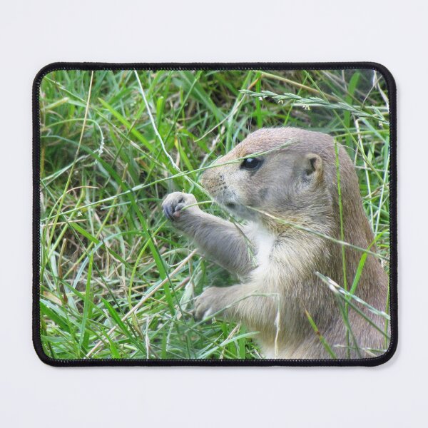 Item preview, Cute Little Prairie Dog designed and sold by OneLook.