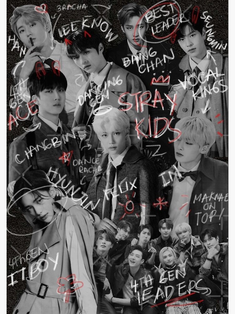 Stray Kids black and white maniac poster SKZ SKZoo you make stray